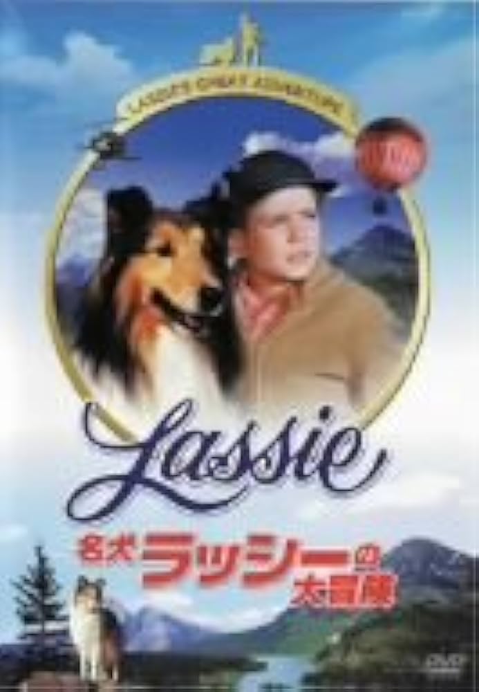 Amazon.co.jp: 名犬ラッシーの大冒険 [DVD] : ジョン・プロヴォスト