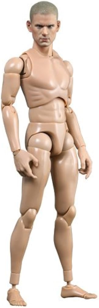 Amazon | ホットトイズ・トゥルータイプ 1/6スケールフィギュア素体