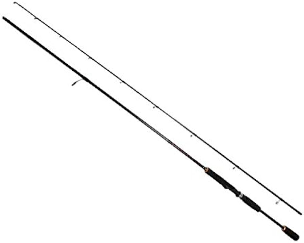 Amazon | つり具・TENオリジナル ペガサス 80 （全長：2．44m