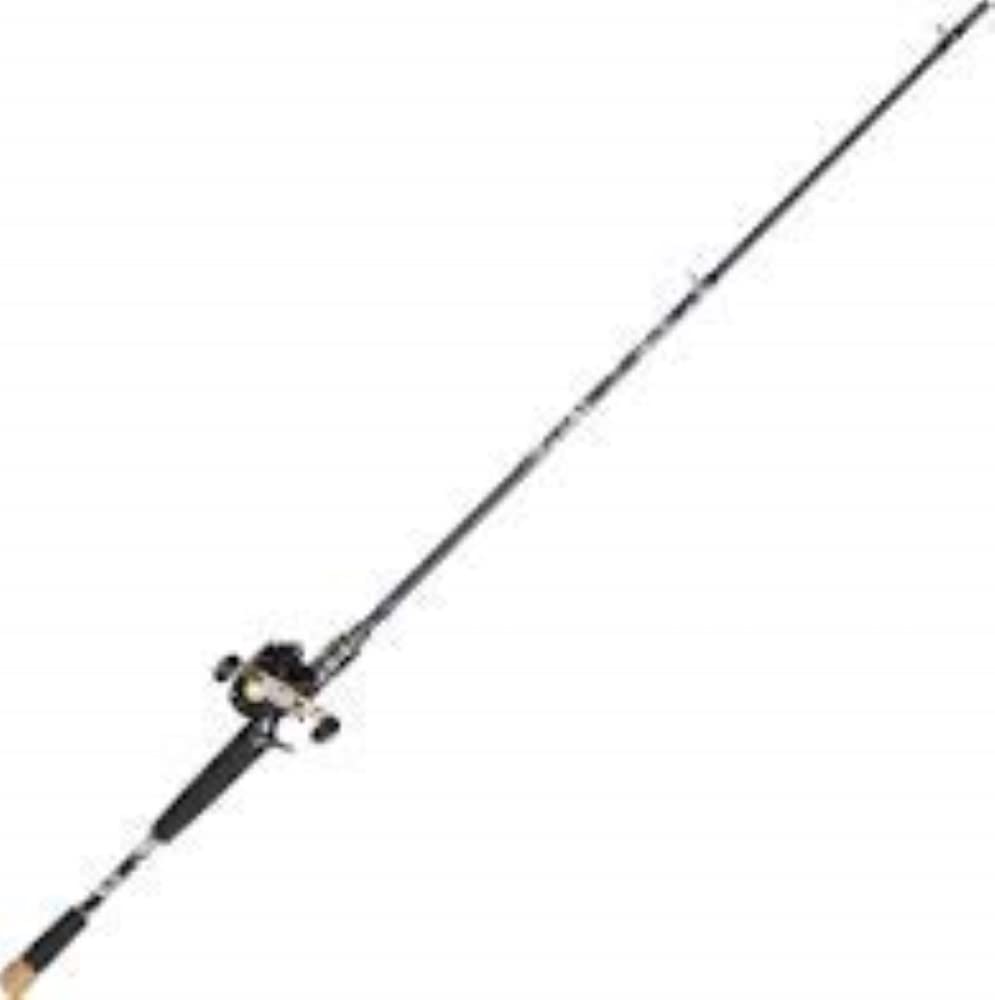 Fishing Rod Procaster 80 Baitcasting Pmc (Left Hand) : Amazon.ca