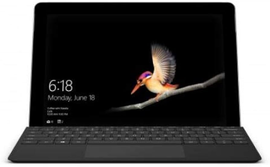 Amazon.com: Microsoft Surface Go Type Cover (Black) : Electronics