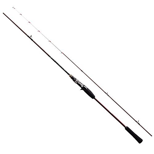 炎月BBはタイラバ入門にベストマッチ！一つテンヤやジギングにも使える