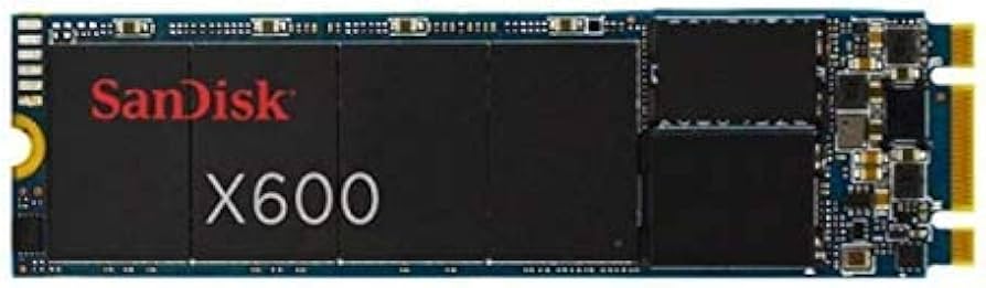 Amazon.com: Western Digital Technologies SD9TN8W-128G-1122 SanDisk