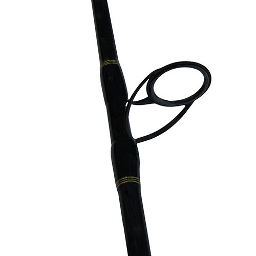 Amazon.com : Daiwa BG5000/701H BG Saltwater Pre-Mounted Combo