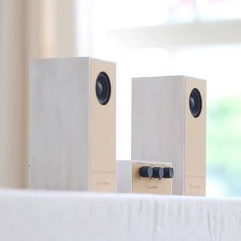 Amazon.co.jp: R4（アール4） DIYオーディオシステム DIY Audio System