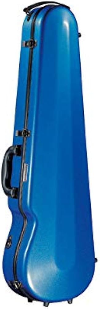 Amazon | EASTMAN バイオリンハードケース 4/4 スタンダード