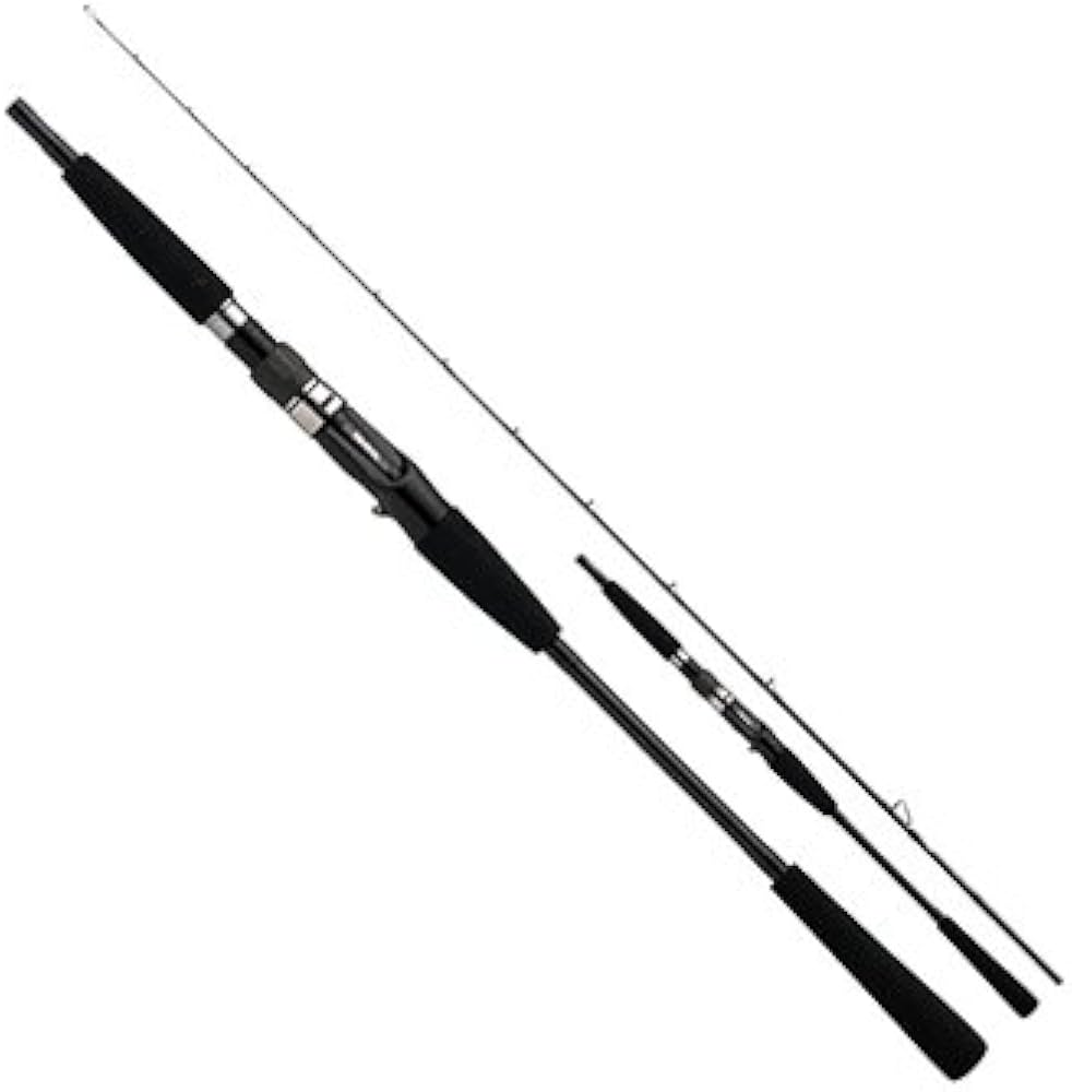 Amazon | ダイワ(DAIWA) ジギングロッド ヴァデルBJ 66HB 釣り竿