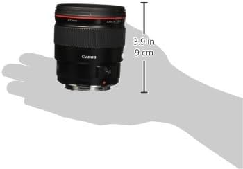 Amazon.com : Canon EF 35mm f/1.4L USM Wide Angle Lens for Canon