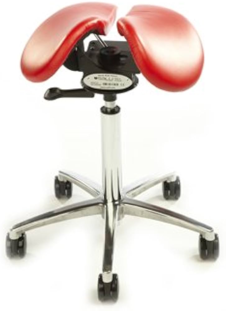 Amazon.com: Salli Swing Fit Saddle Seat : Home & Kitchen