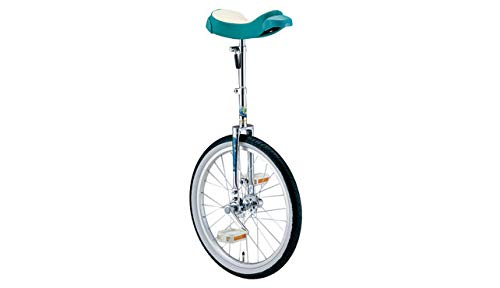 Amazon | どのスポーツのトレーニングにも一輪車は最適。 バランス感覚