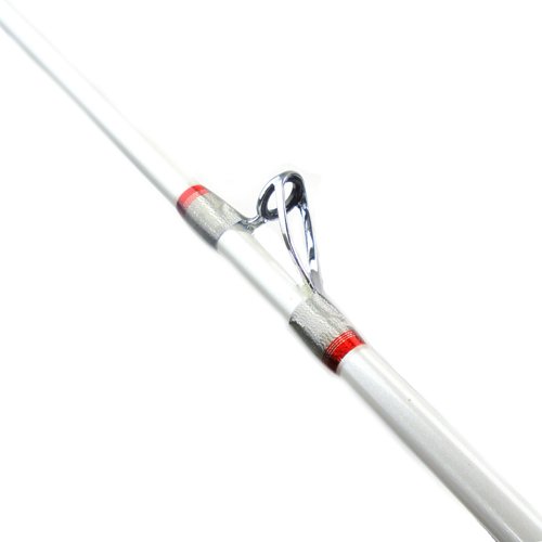 Amazon | TAKAMIYA(タカミヤ) ロッド 伝衛門丸 LIGHT STICK 205