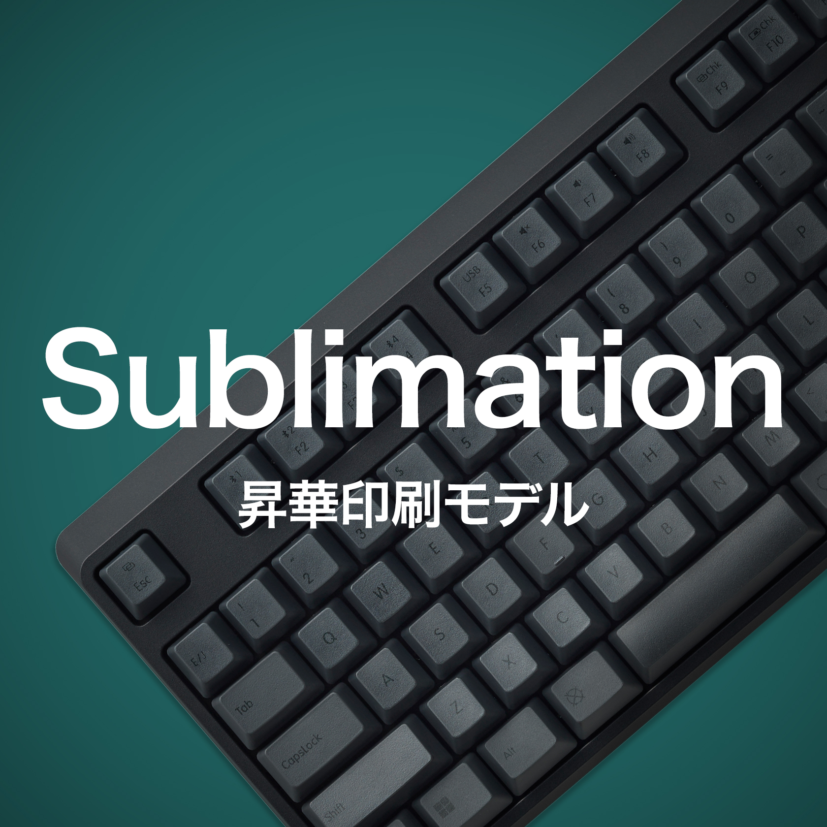 6a660259-4b8e-4b00-88fc-