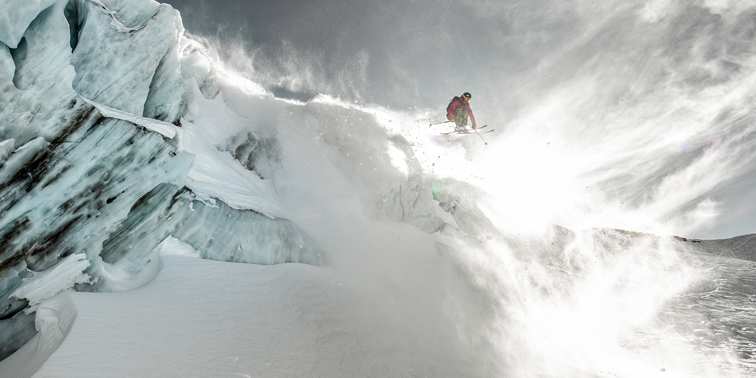 Amazon.co.jp: アルピナ(ALPINA) : バックプロテクター