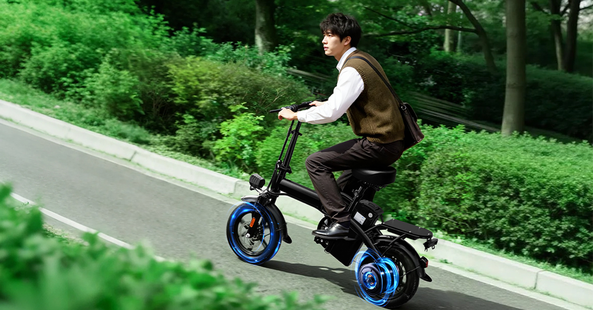 Amazon.co.jp: Ripwheat