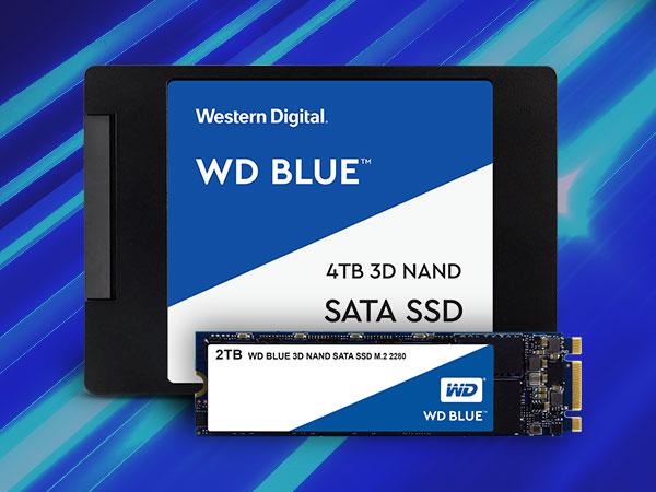 Amazon.com: Western Digital 250GB WD Blue 3D NAND Internal PC SSD