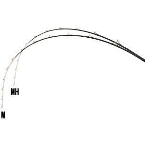 Amazon | グローリーフィッシュ(Glory Fish) ロッド サベージ