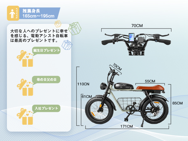 Amazon | Houpet 電動アシスト自転車 500Wモーター 20インチ 極太