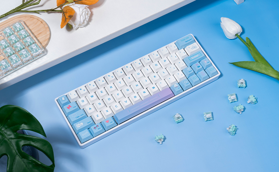 Amazon.com: GATERON SIKAKEYB Castle HM66 TKL Hyper Magnetic Gaming