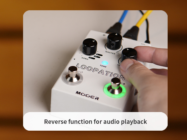 Amazon.com: MOOER Looper Vocal Effects Processor Guitar Voice