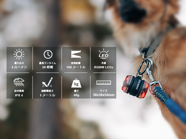 Amazon.co.jp: OLIGHT(オーライト)Gober Kit ウォーキングライト USB