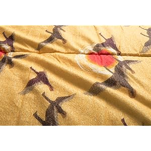 Amazon.co.jp: コールマン(Coleman) 寝袋 スリーピングバッグ C5 使用