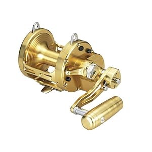 Amazon | ダイワ(DAIWA) 両軸リール シーラインLD 60 2 SP 2014年