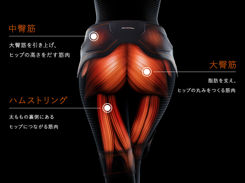 ウエイトトレーニング SIXPAD Bottom Belt ウエイトトレーニング