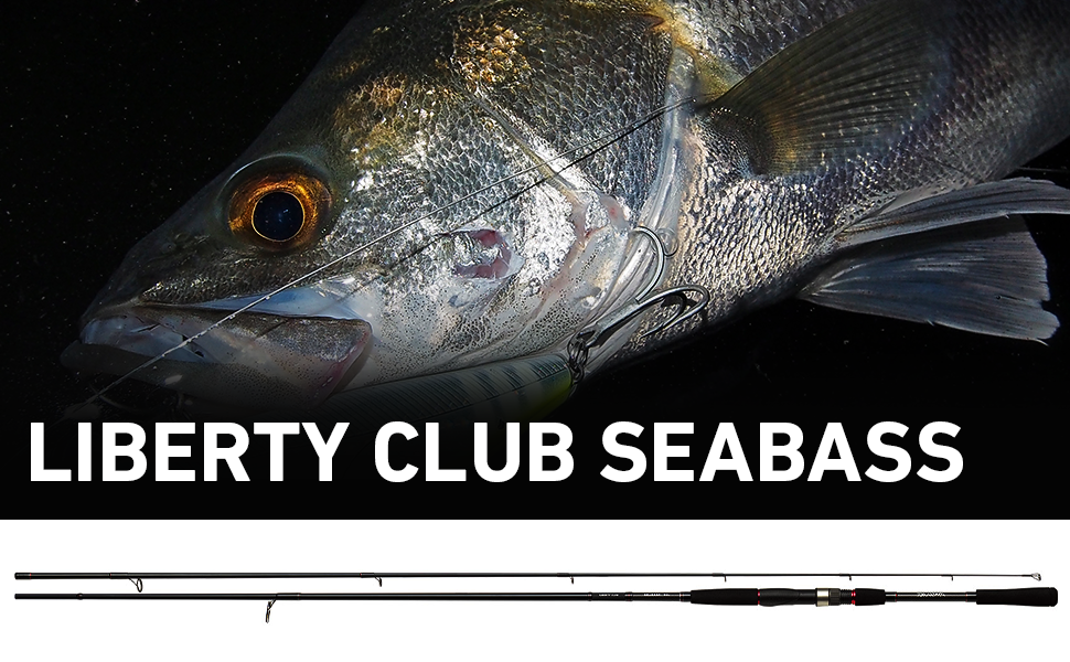 Amazon.co.jp: DAIWA LIBERTY CLUB SEABASS 96M : Sports & Outdoors