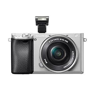Amazon.com : Sony Alpha a6300 ILCE6300M/B 24.2 MP Mirrorless