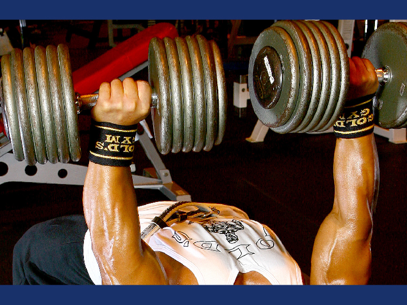 Amazon | IVANKO(イヴァンコ) パラレルラットバー PPLB-28 | IVANKO