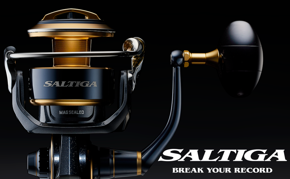 Amazon | ダイワ(DAIWA) スピニングリール 20 ソルティガ 8000-P(2020