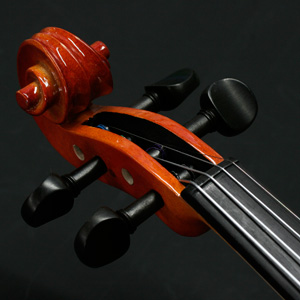 Amazon.co.jp: STENTOR (ステンター) ビオラセット SVA-240 4/4【安心