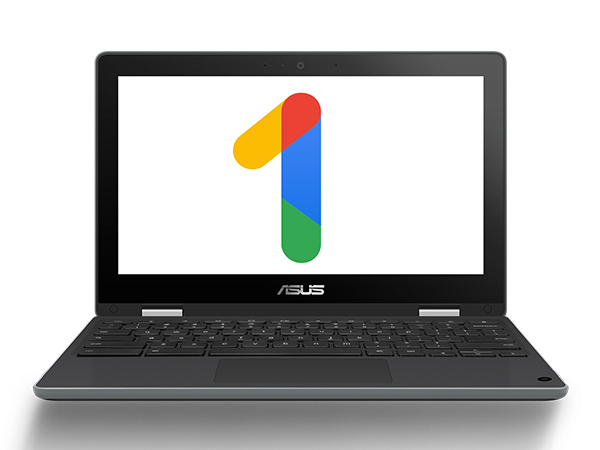 Amazon.com: ASUS Chromebook Flip C214MA-YS02T 11.6” Ruggedized and