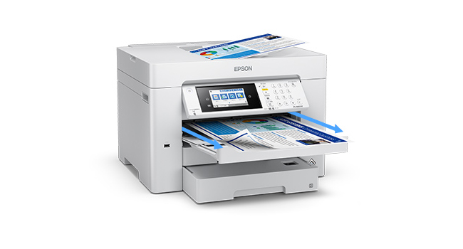 Amazon.co.jp: Epson Fax PX-M6010F Printer, A3 Novi Compatible