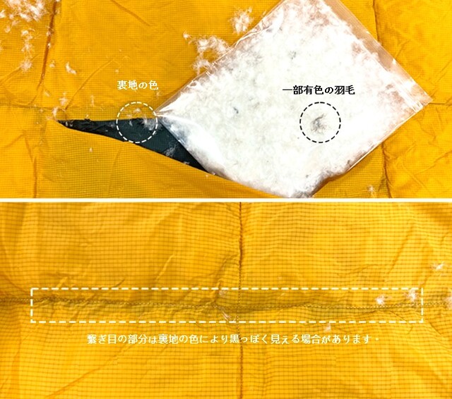 ミニマルワークスカメレオン500 2.0