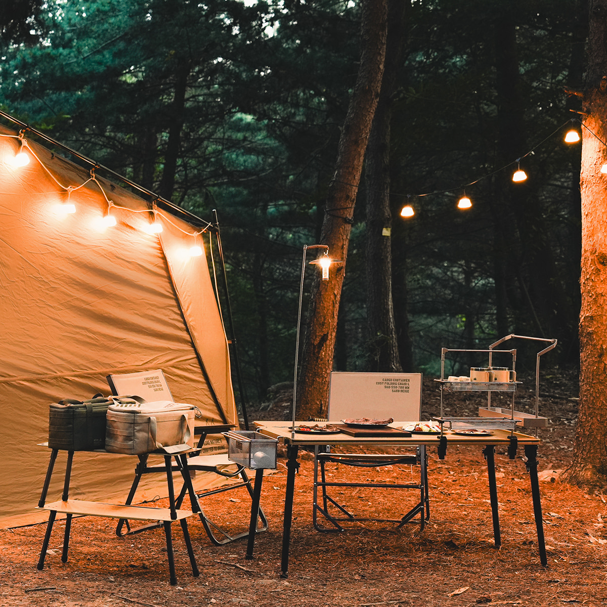 CC] SHINE STRING LIGHT 7 - CARGO CONTAINER