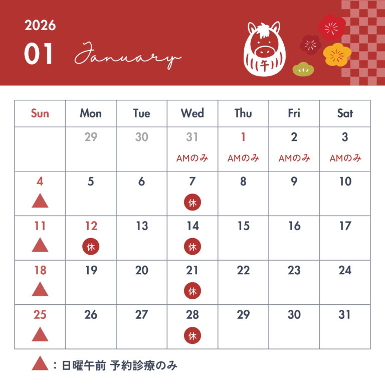 2025年 – ミモザ犬猫クリニック | 広島市中区十日市の動物病院