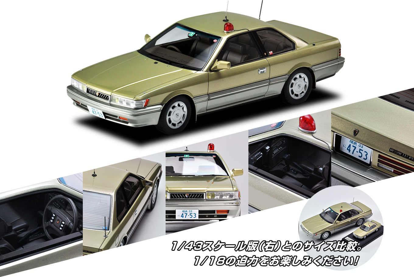 T-IG1801・T-IG1802 レパード アルティマ（金）/（紺