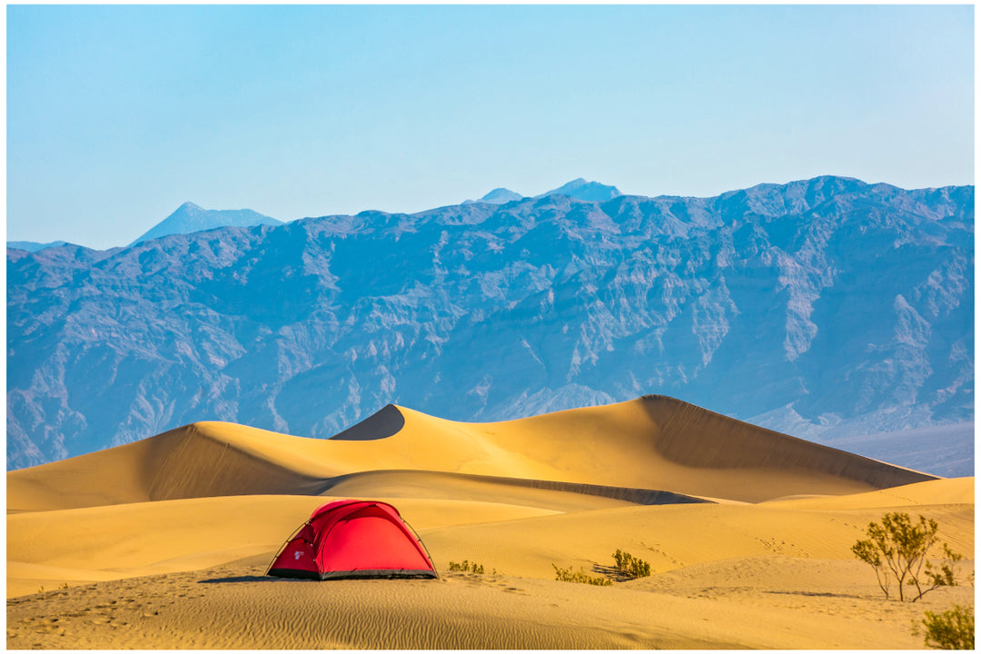 PAPRIKA MAGNUM/REDパプリカマグナム – MINIMAL WORKS