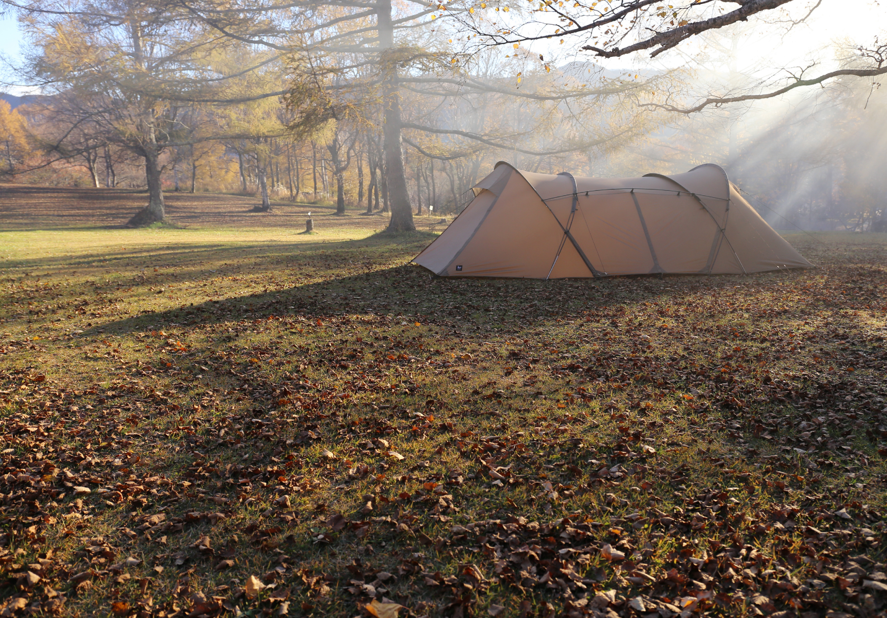 ミニマムなコンパクト2ルームテント＜DT-004 / ロガ4 ゼインアーツ