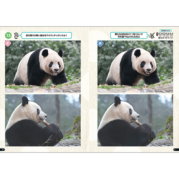 商品詳細ページ | MICRO MAGAZINE STORE