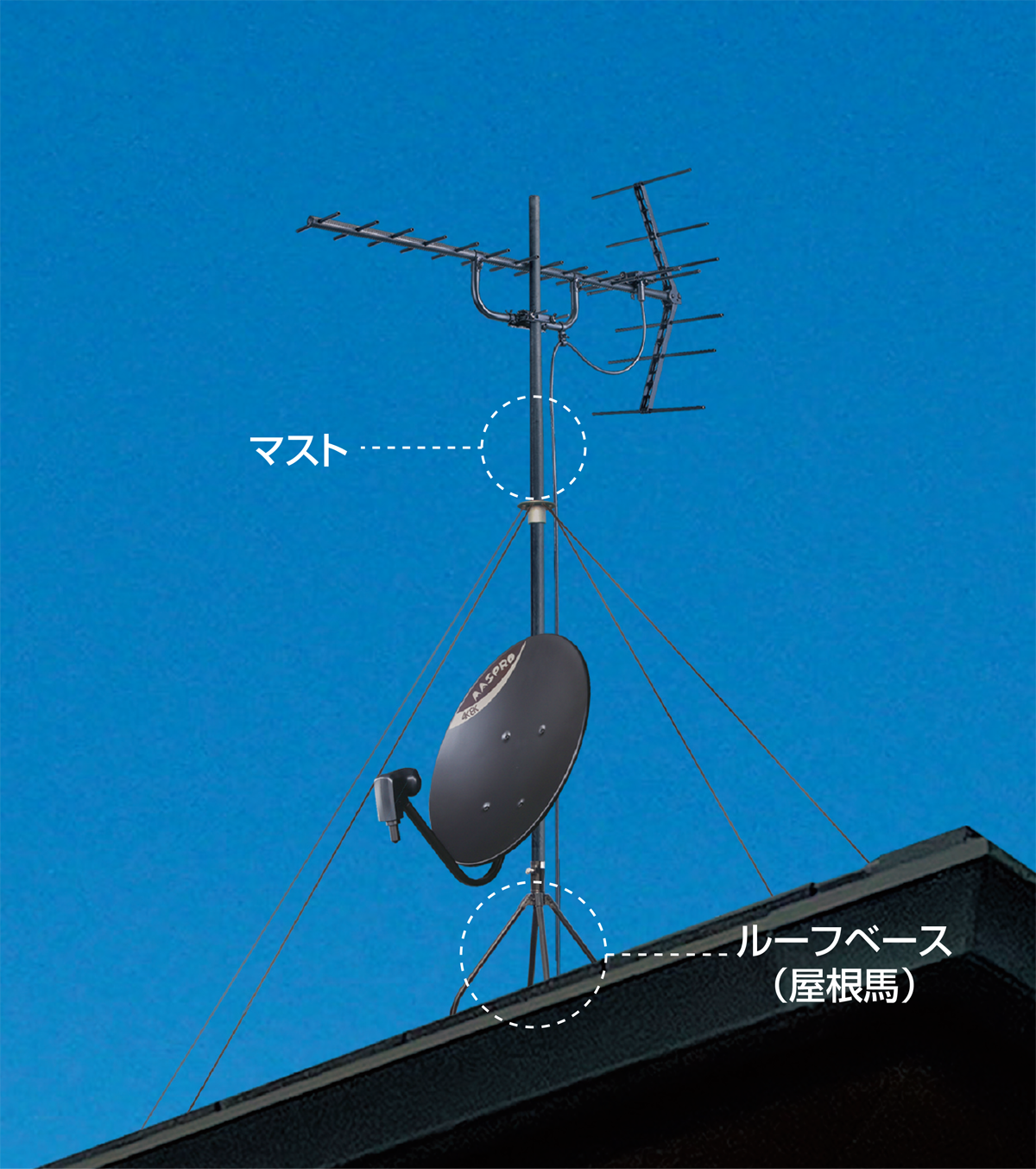 馴染むブラック！ 引締めブラック！お洒落なデザインアンテナ | ビビッ