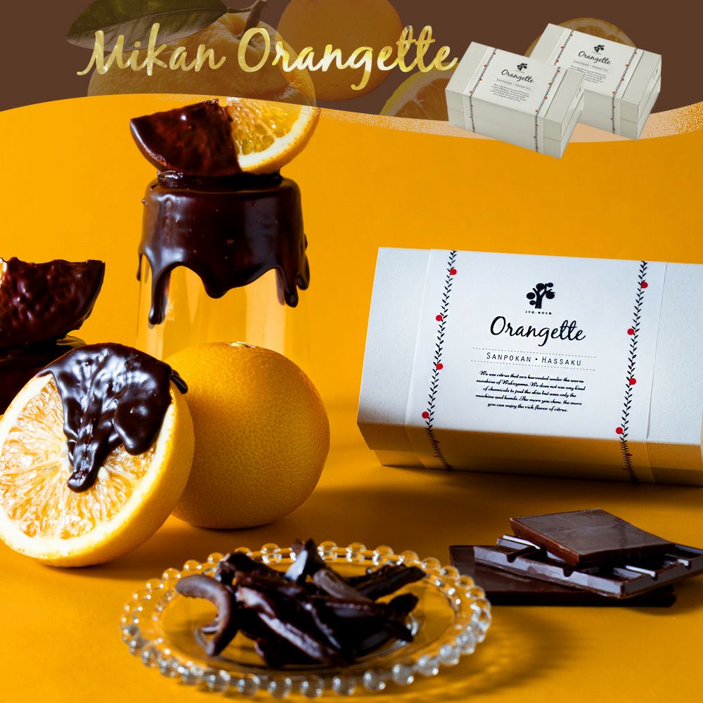 バラエティセット V-016 (みかんジュース バラエティセット) | 有田