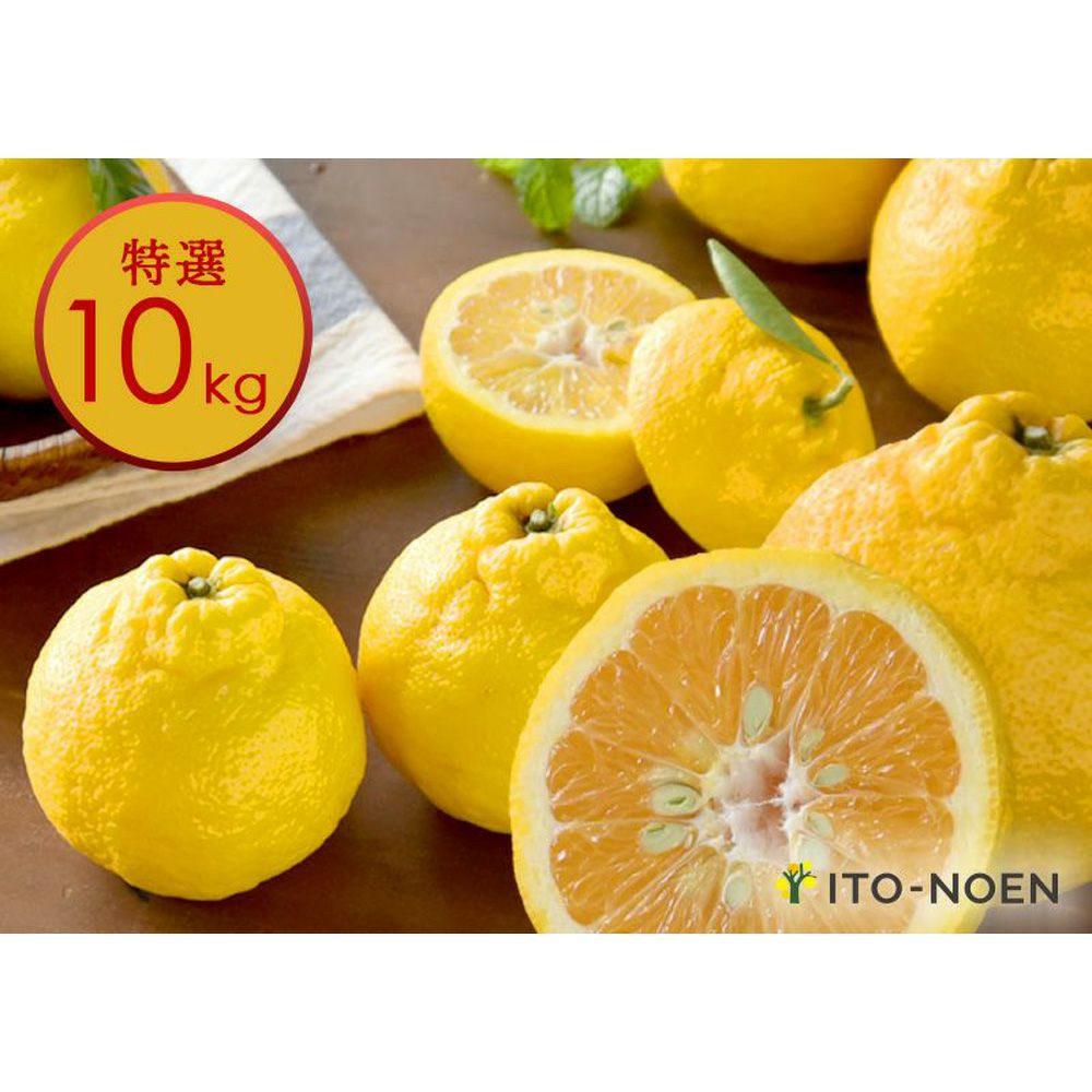 三宝柑【贈答用(特選品)】 5kg | 有田みかん・和歌山県産柑橘の青果