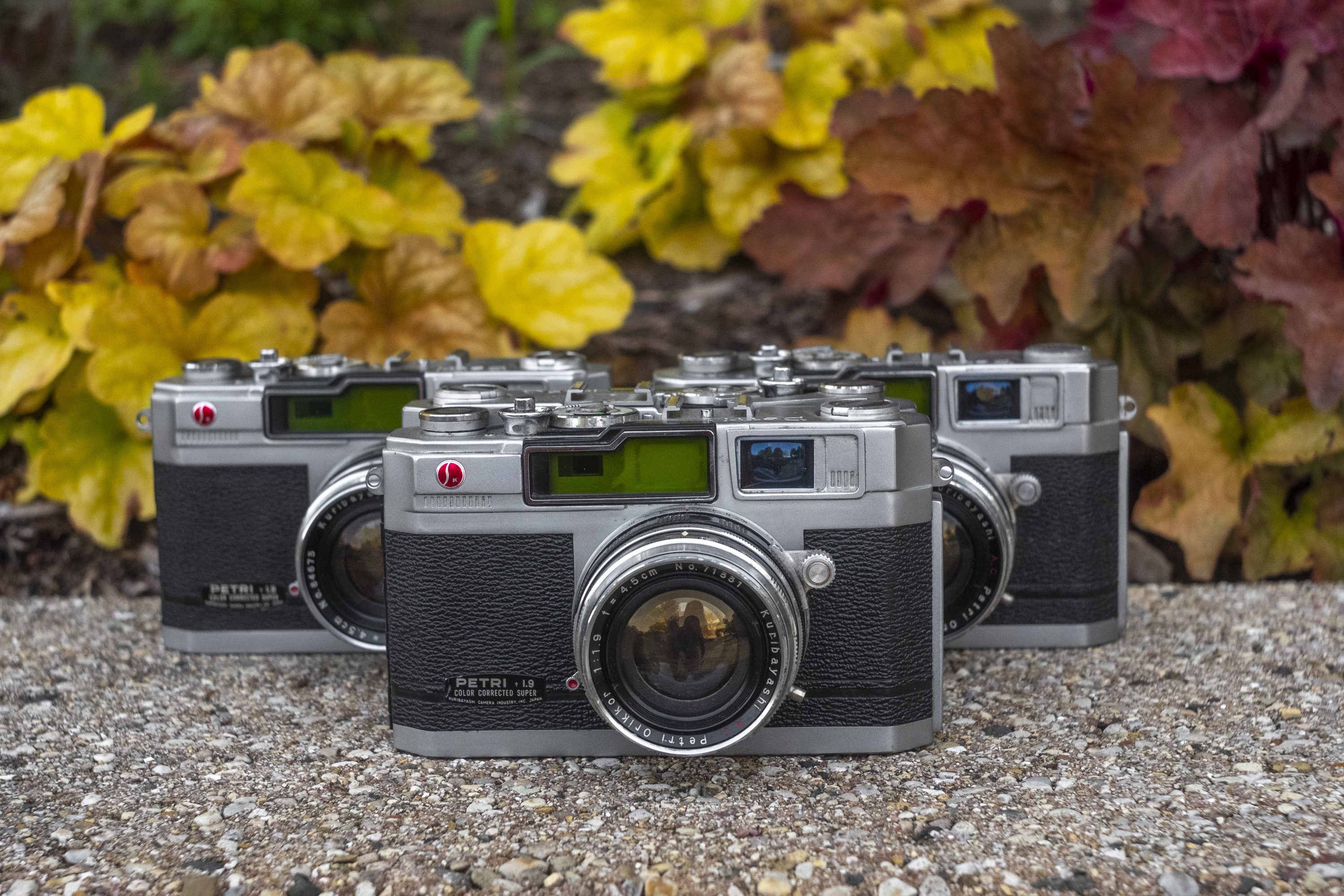 Petri 1.9 Color Corrected Super (1960) – mike eckman dot com