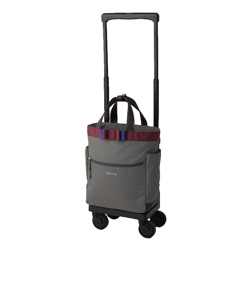 D640-M18ルバンド 3 ショッピングキャリー [SWANY][スワニー