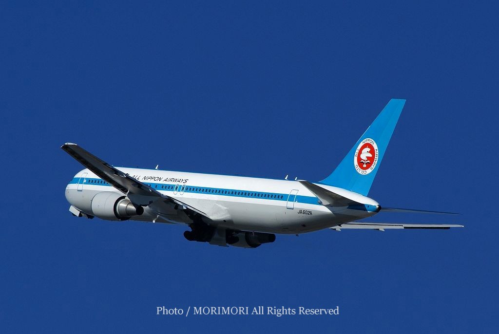 ANA(全日空)モヒカンジェット宮崎ブーゲンビリア空港での写真｜宮崎観光