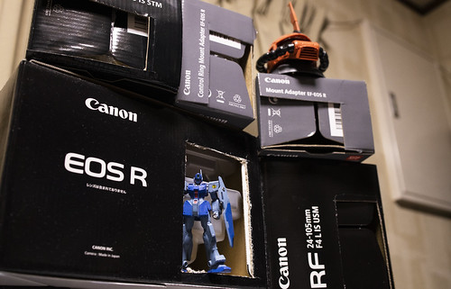 箱も専用品のEOS RP ゴールドモデル – mono-logue