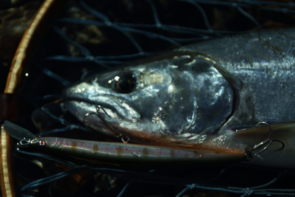 フルハンドメイドミノー110MDF（8.6g） | Fishing Gear Monochrome
