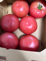 JA下野 とまと（下野農業協同組合）の口コミ・レビュー・評判、評価